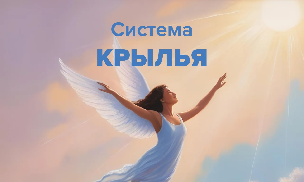 Система Крылья